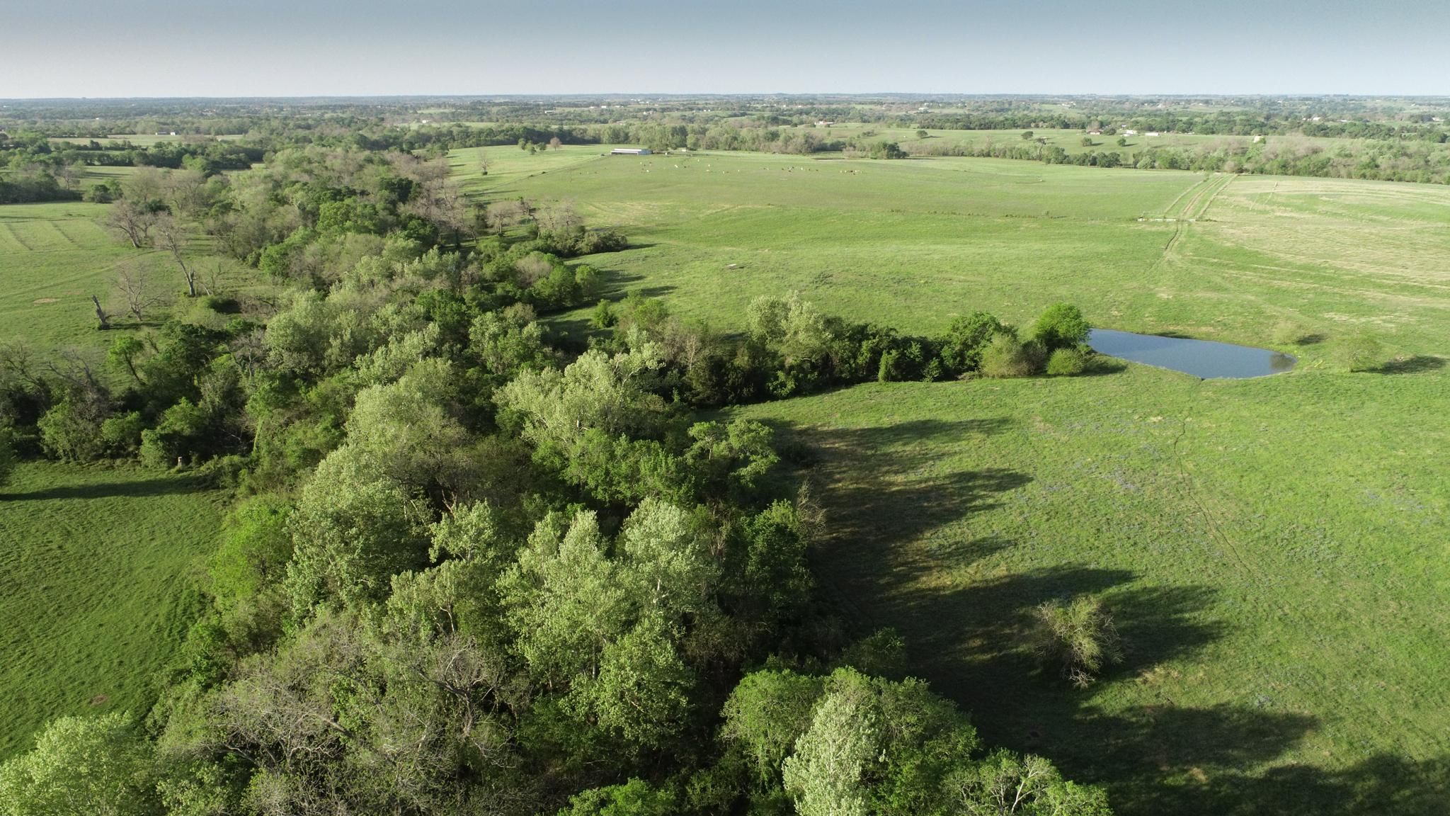 Pilcik Road, Bleiblerville, TX 78944