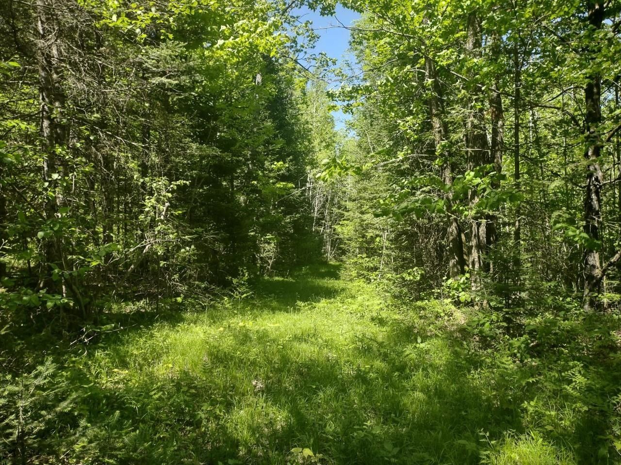 80 acres in Oneida County, Wisconsin