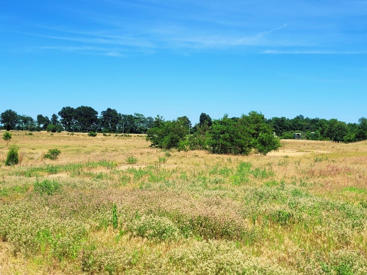 30 acres in New Madrid County, Missouri