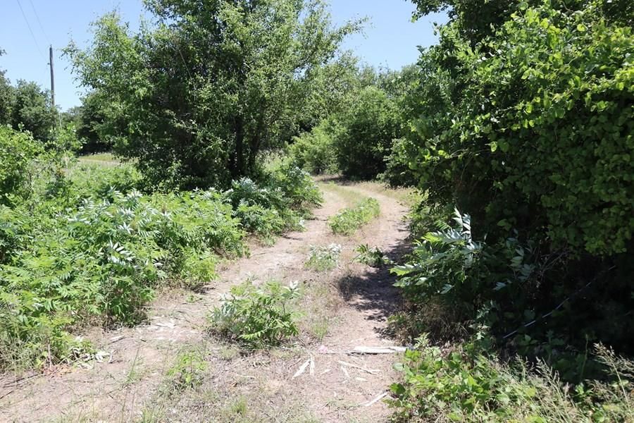 40 acres in Love County, Oklahoma