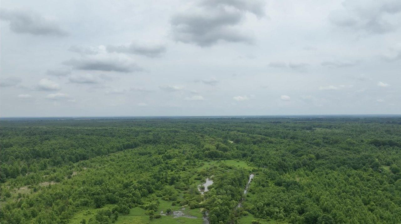 78 acres in Quitman County, Mississippi