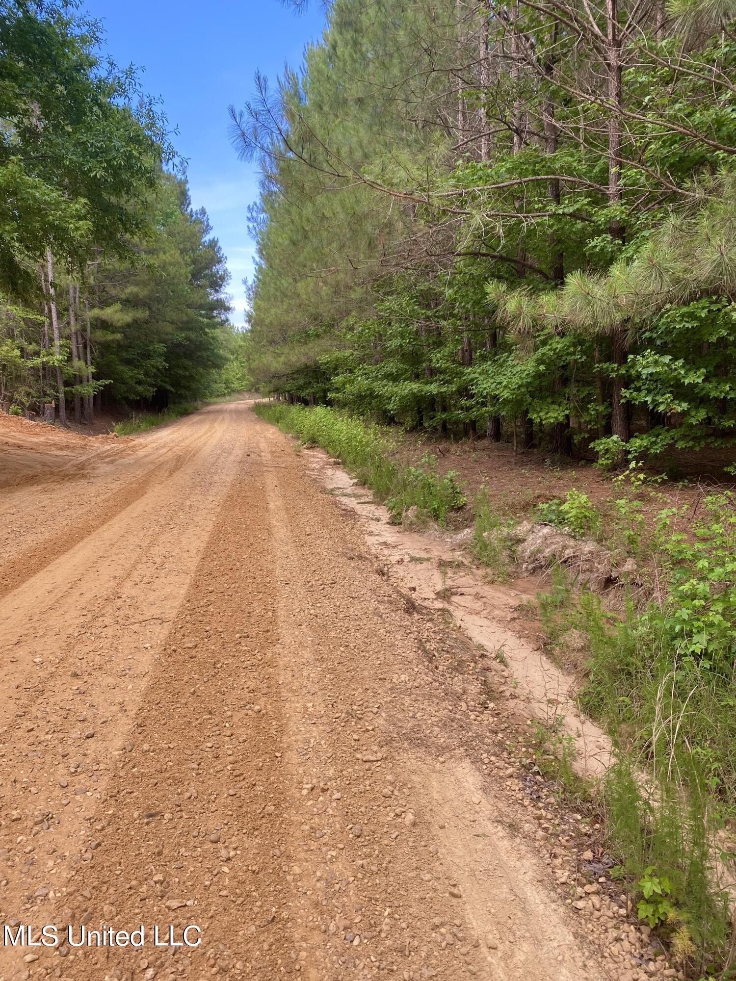 67 acres in Attala County, Mississippi