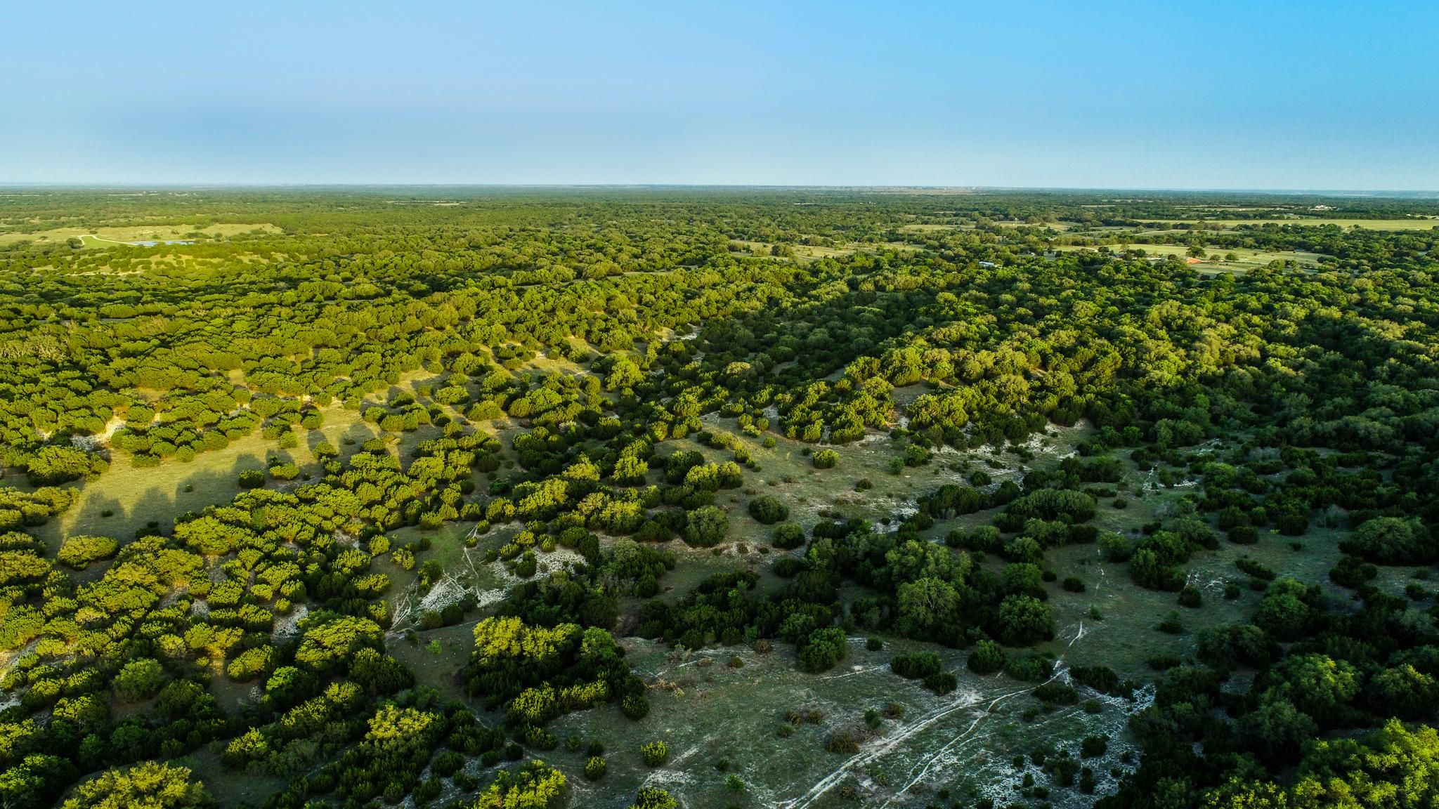 300 acres in Bosque County, Texas