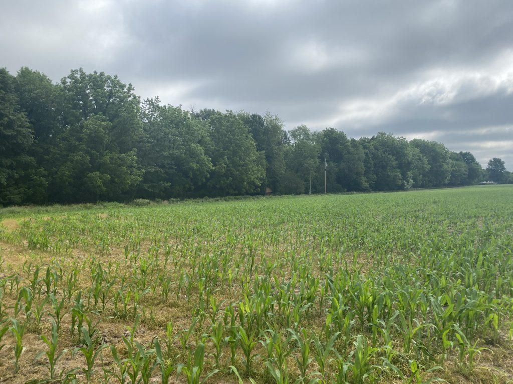 10.09 acres in Fulton County, Illinois