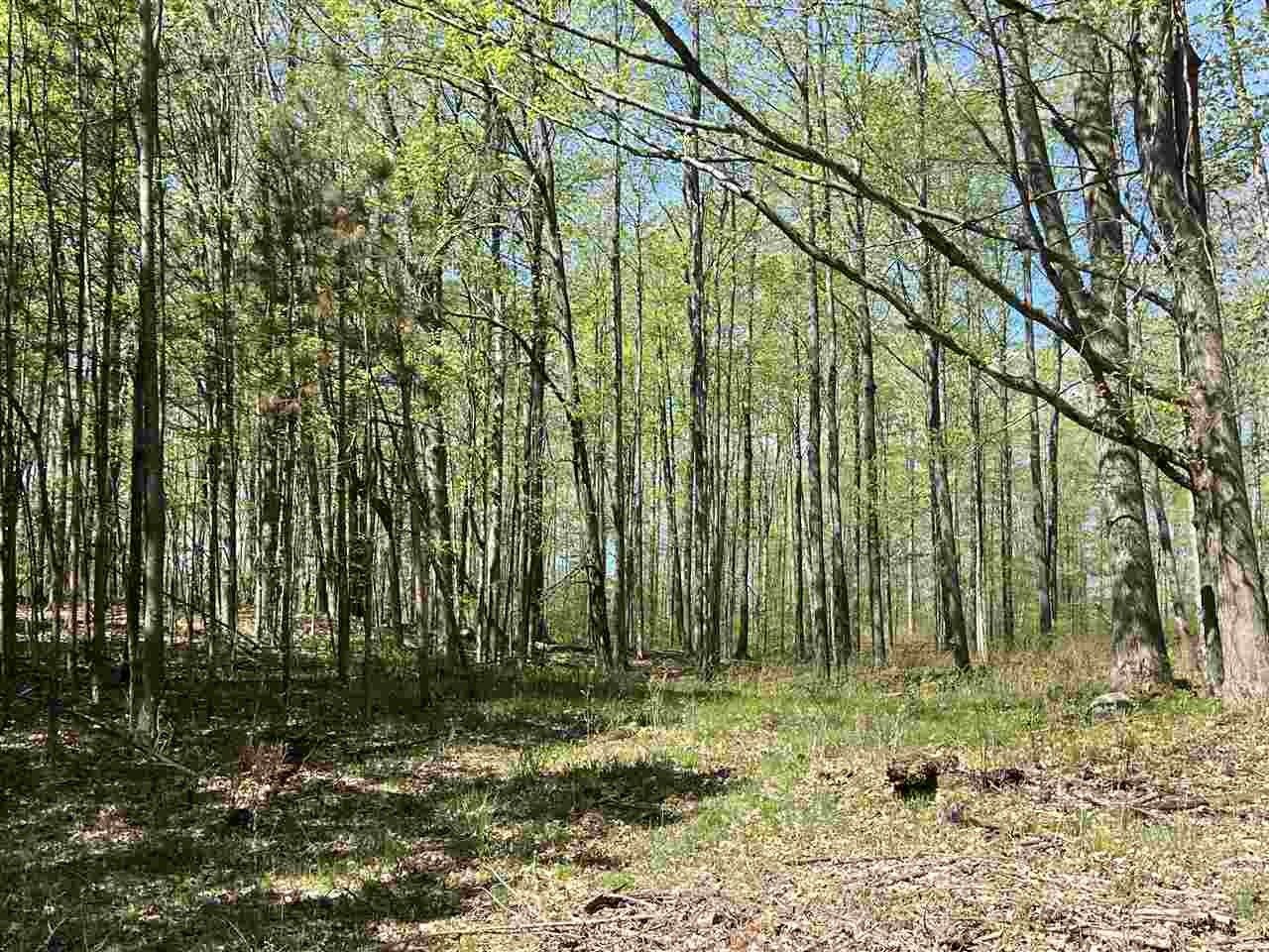 40 acres in Clare County, Michigan
