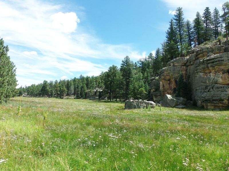 727.31 acres in Mora County, New Mexico