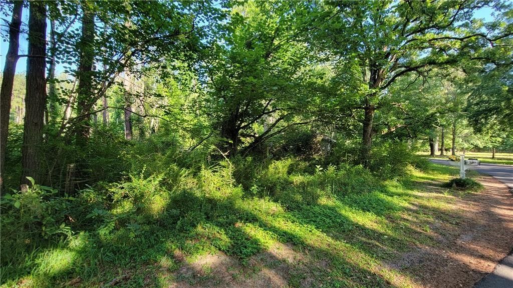 3 acres in Rapides Parish, Louisiana