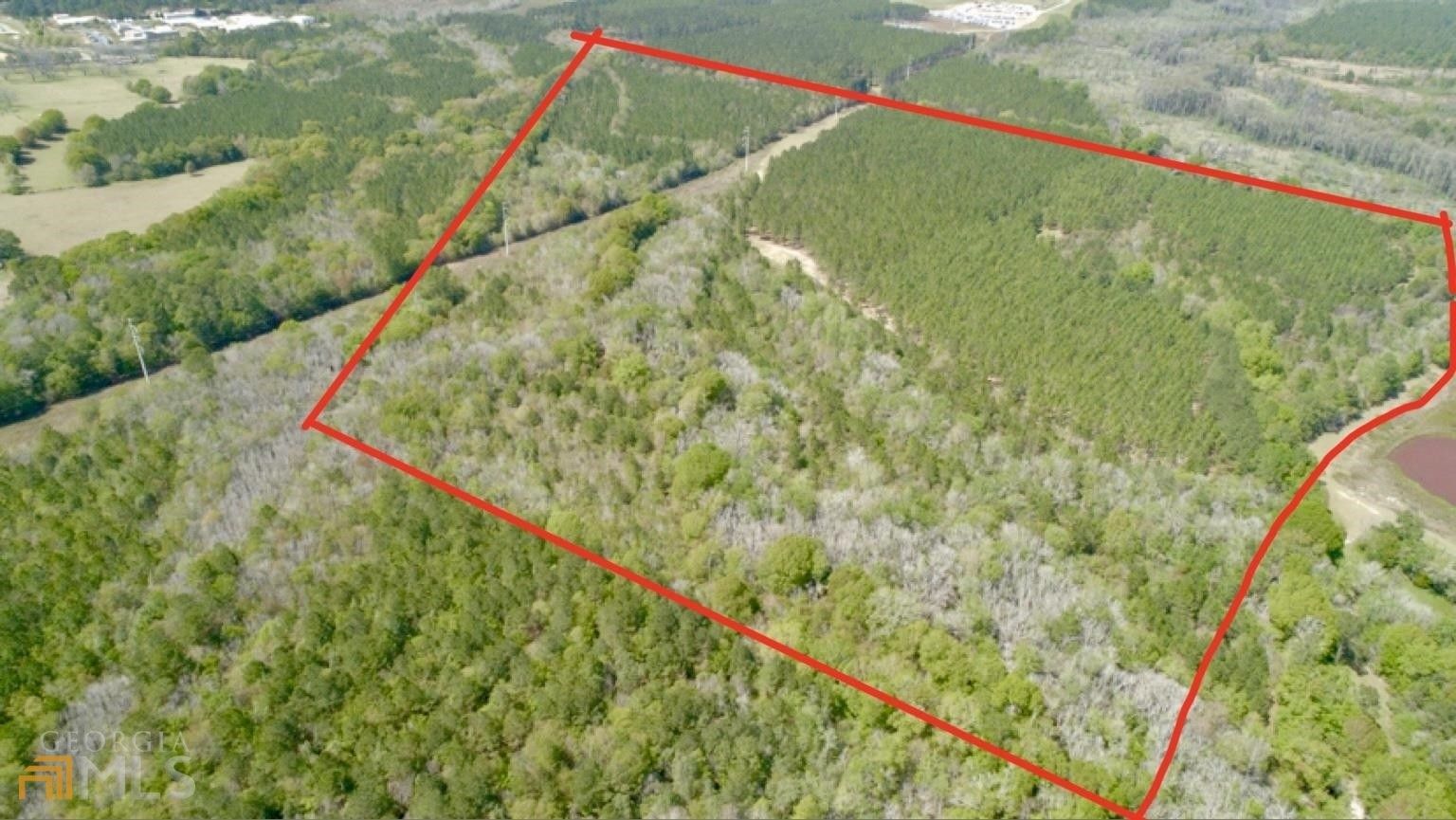 99 acres in Ben Hill County,