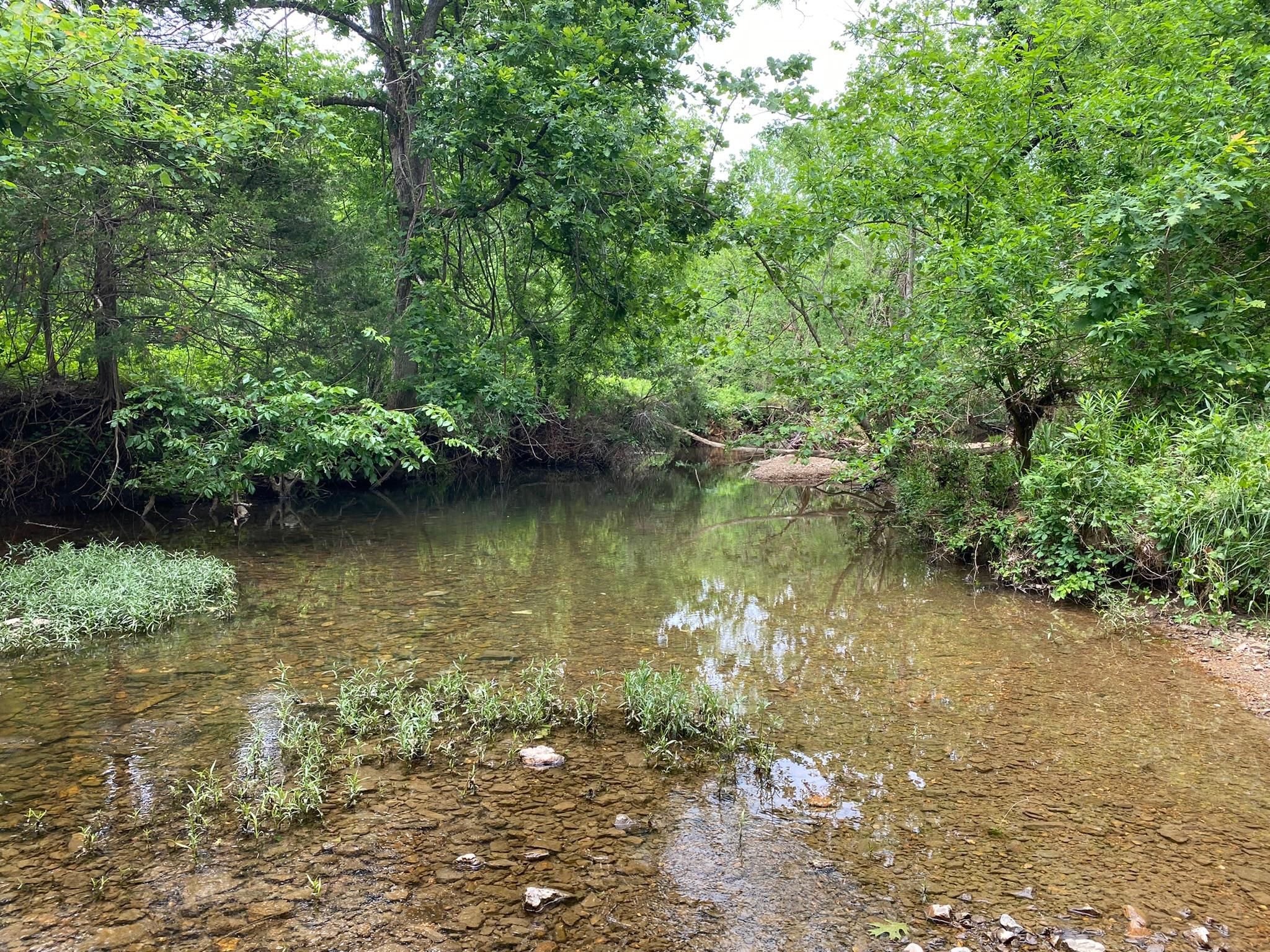 1234 Ropers Circle, Glencoe, AR 72539 MLS 22019069