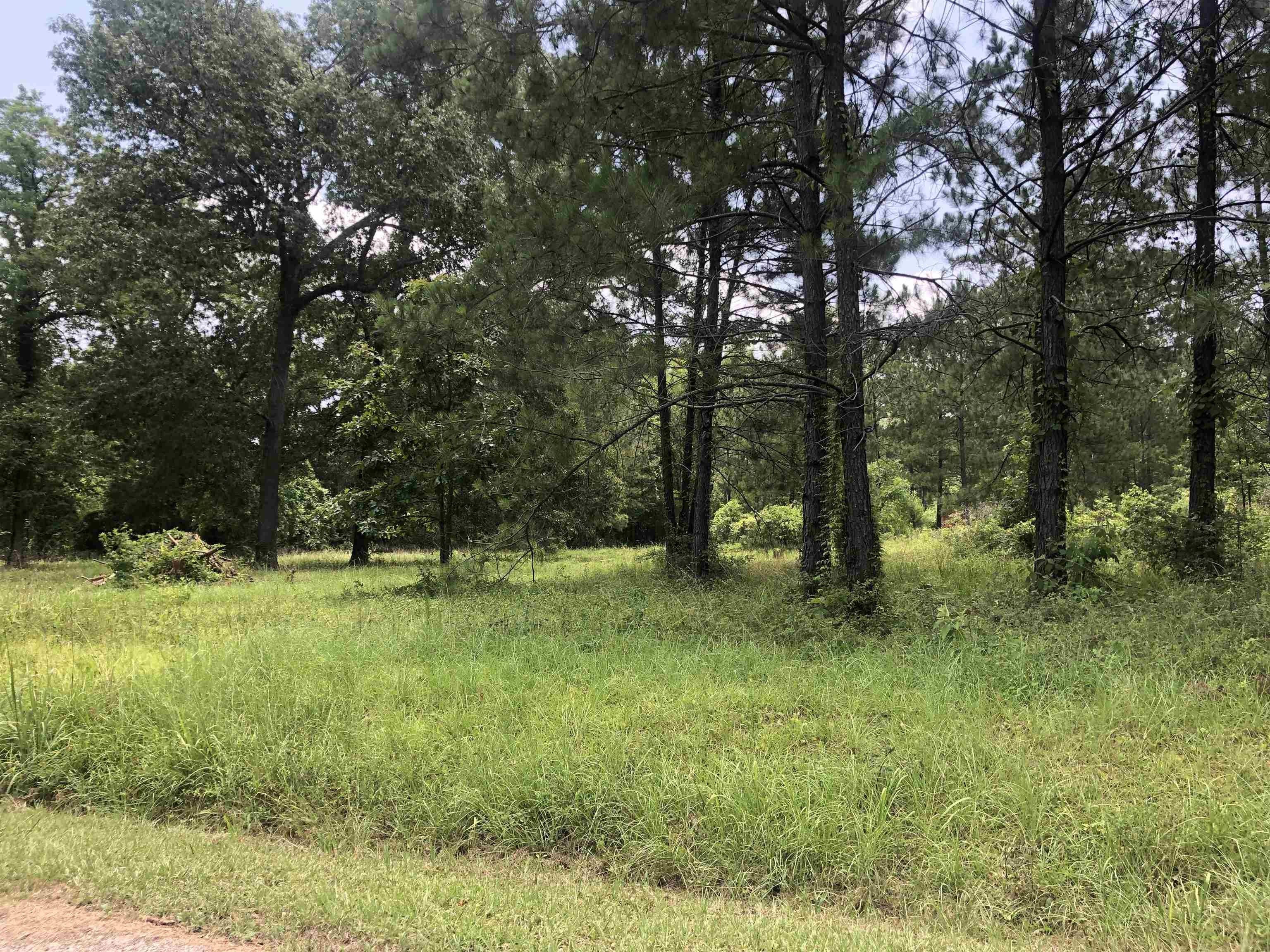 1.76 acres in Sabine County, Texas