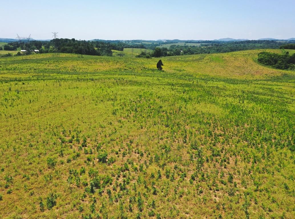 530 acres in Grainger County, Tennessee