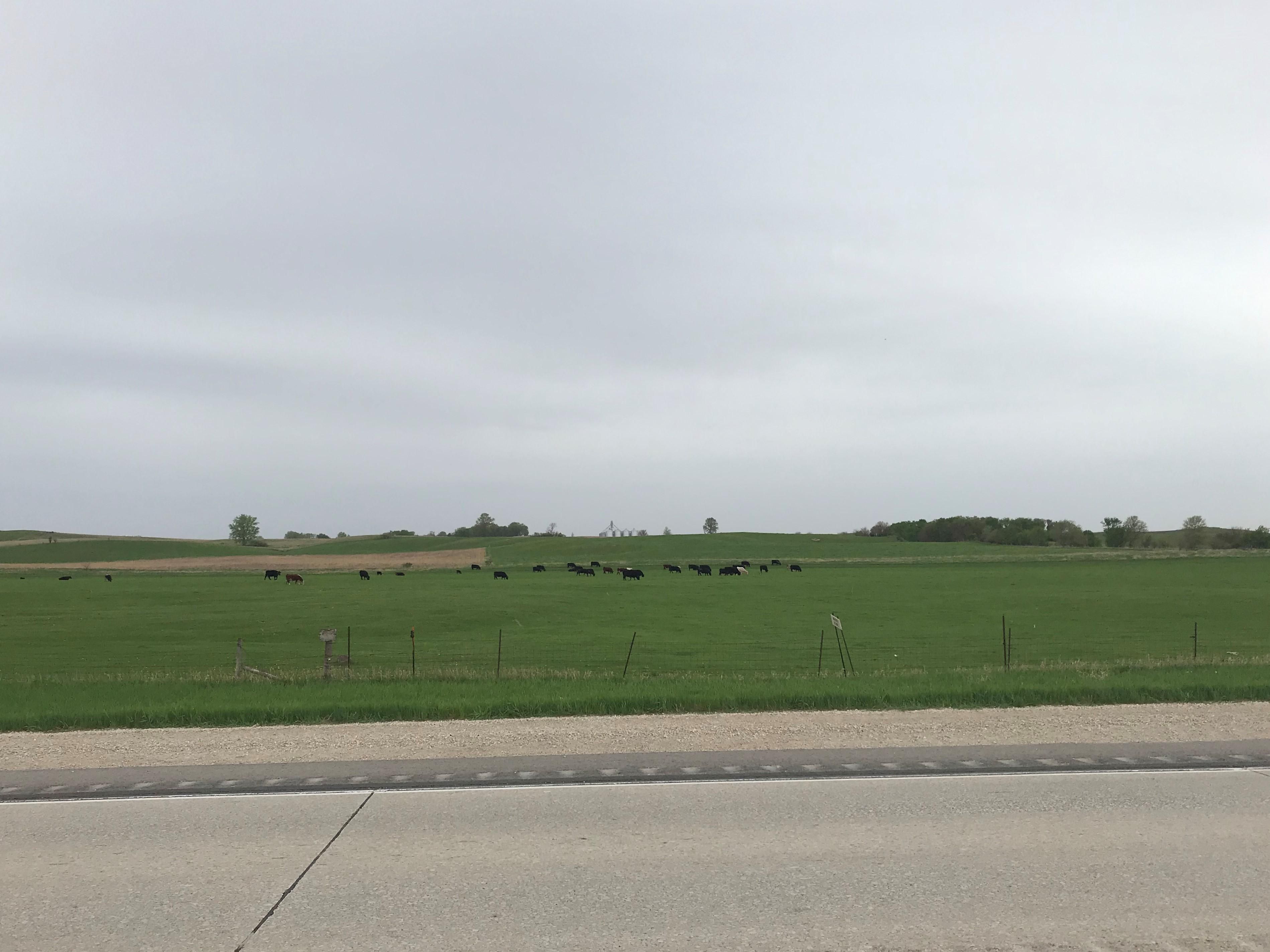 94 acres in Ruthven, IA, 51358