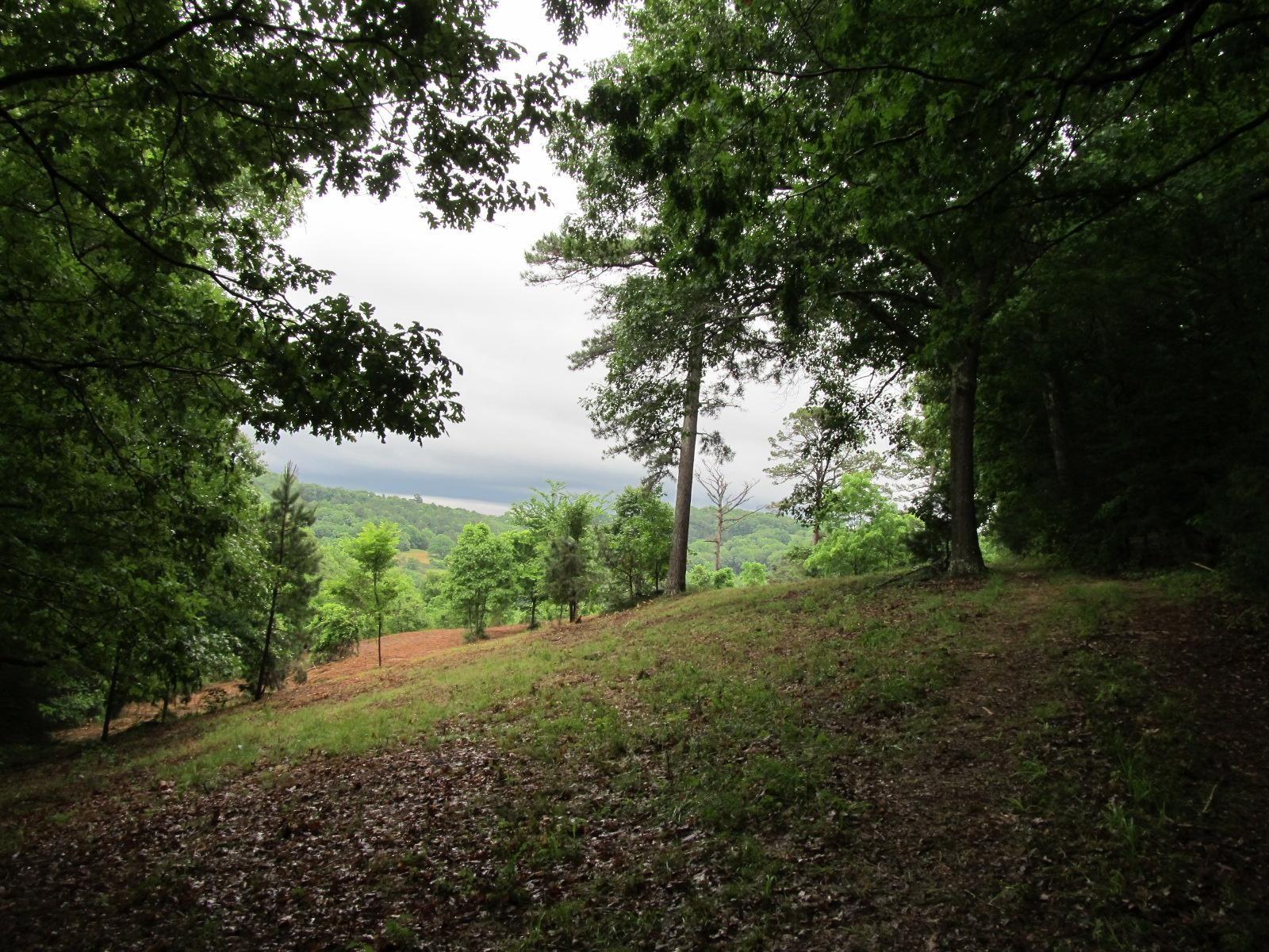 400 acres in Carroll County, Arkansas