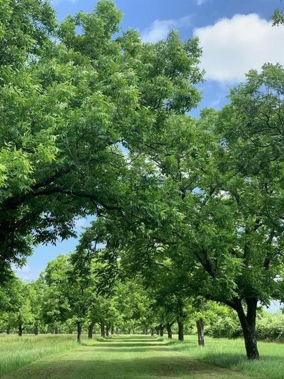 7 acres in Parker County, Texas