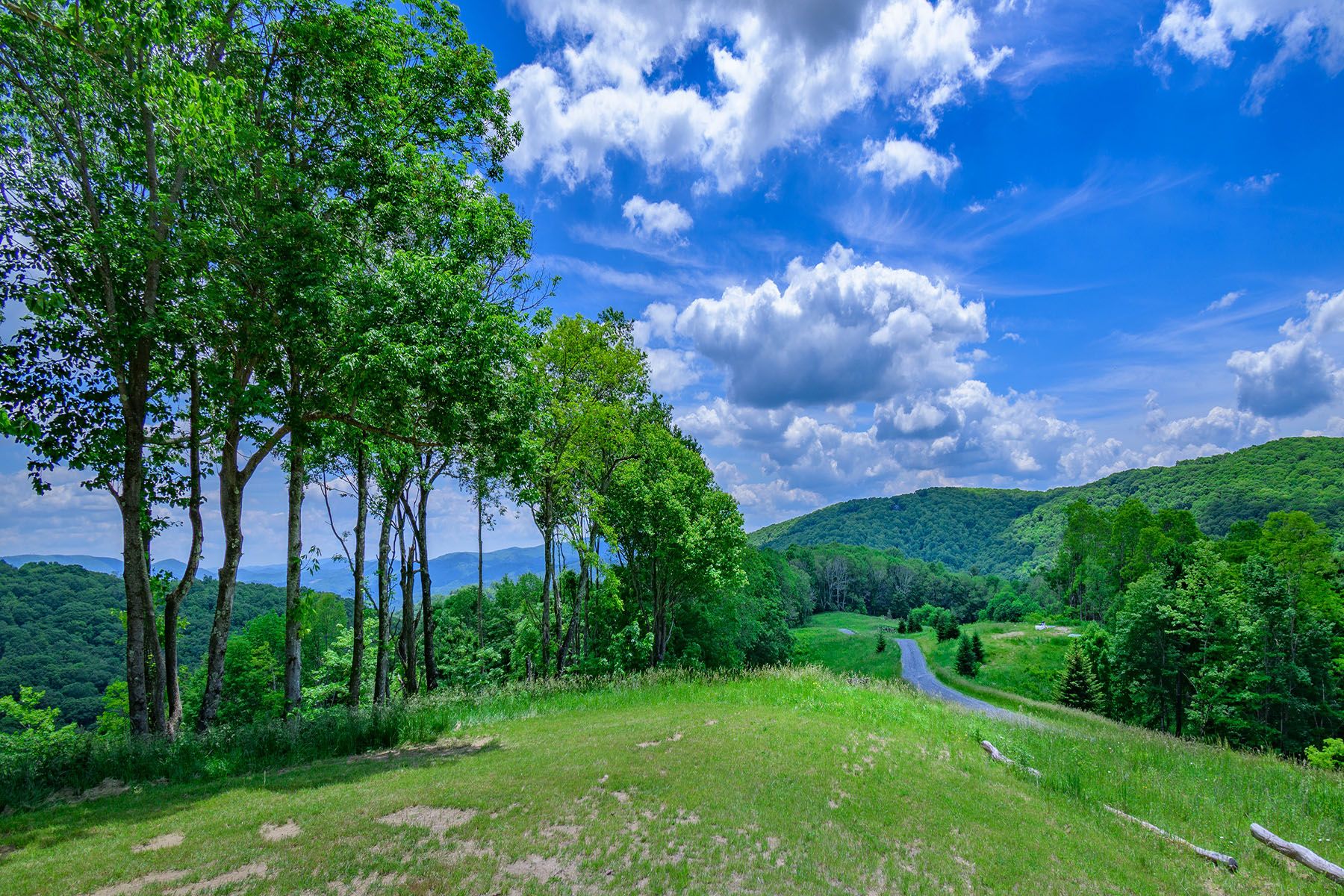 55.65 acres in Avery County, North Carolina