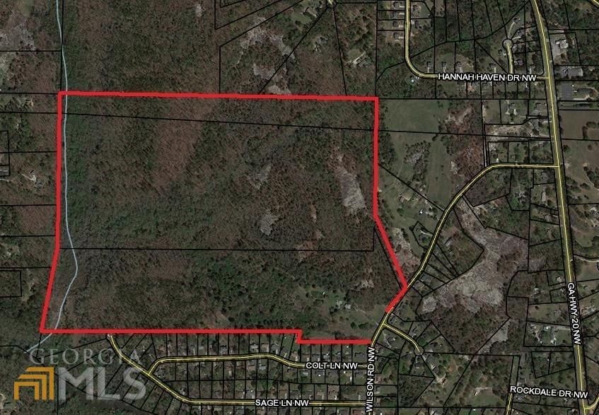 168.25 acres in Rockdale County,