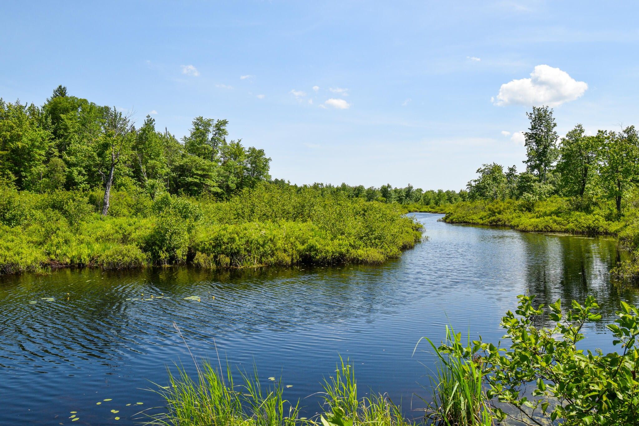 75 acres in Somerset County, Maine