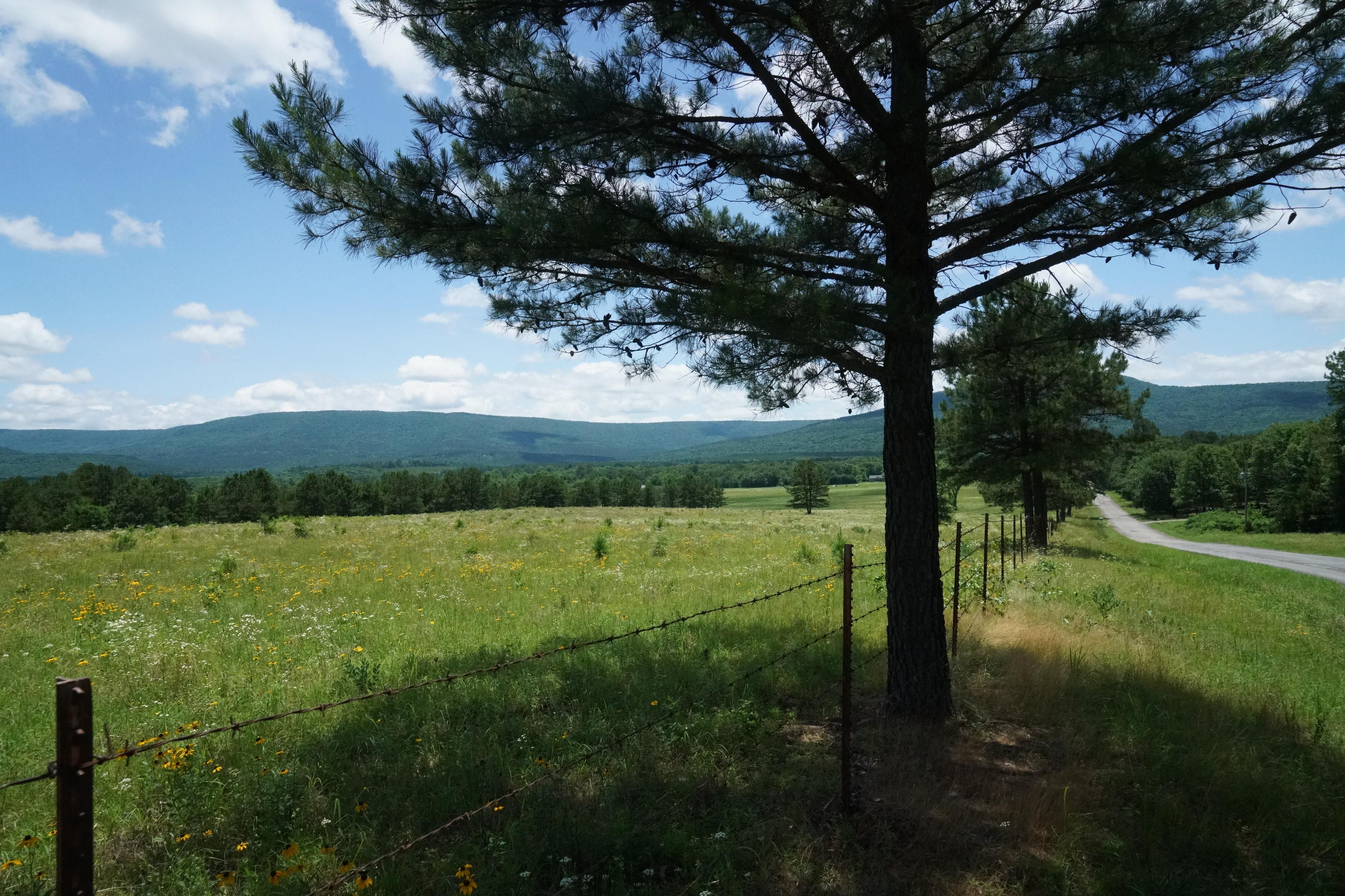 36871 Poteau Mountain Rd, Poteau, OK 74953 MLS 3501888530