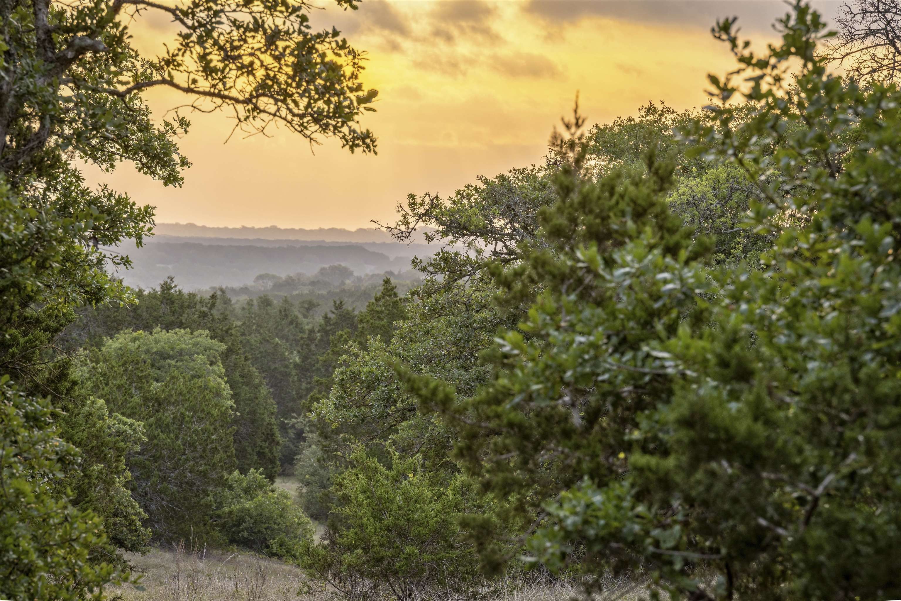 7 acres in County, Texas