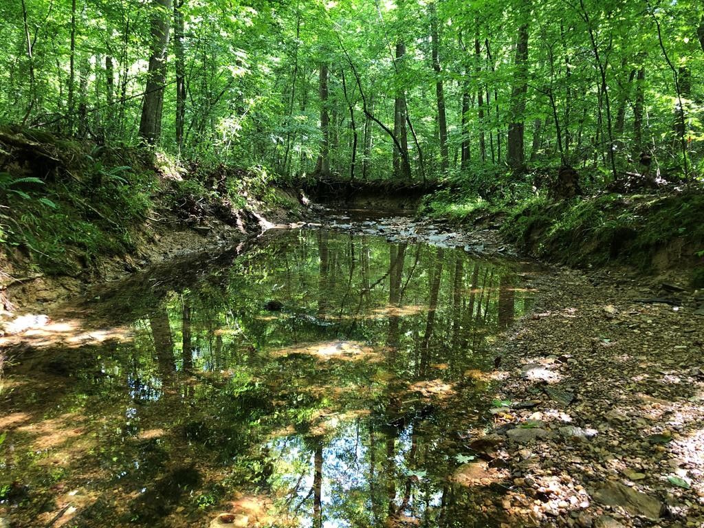 7 acres in Halifax County, Virginia