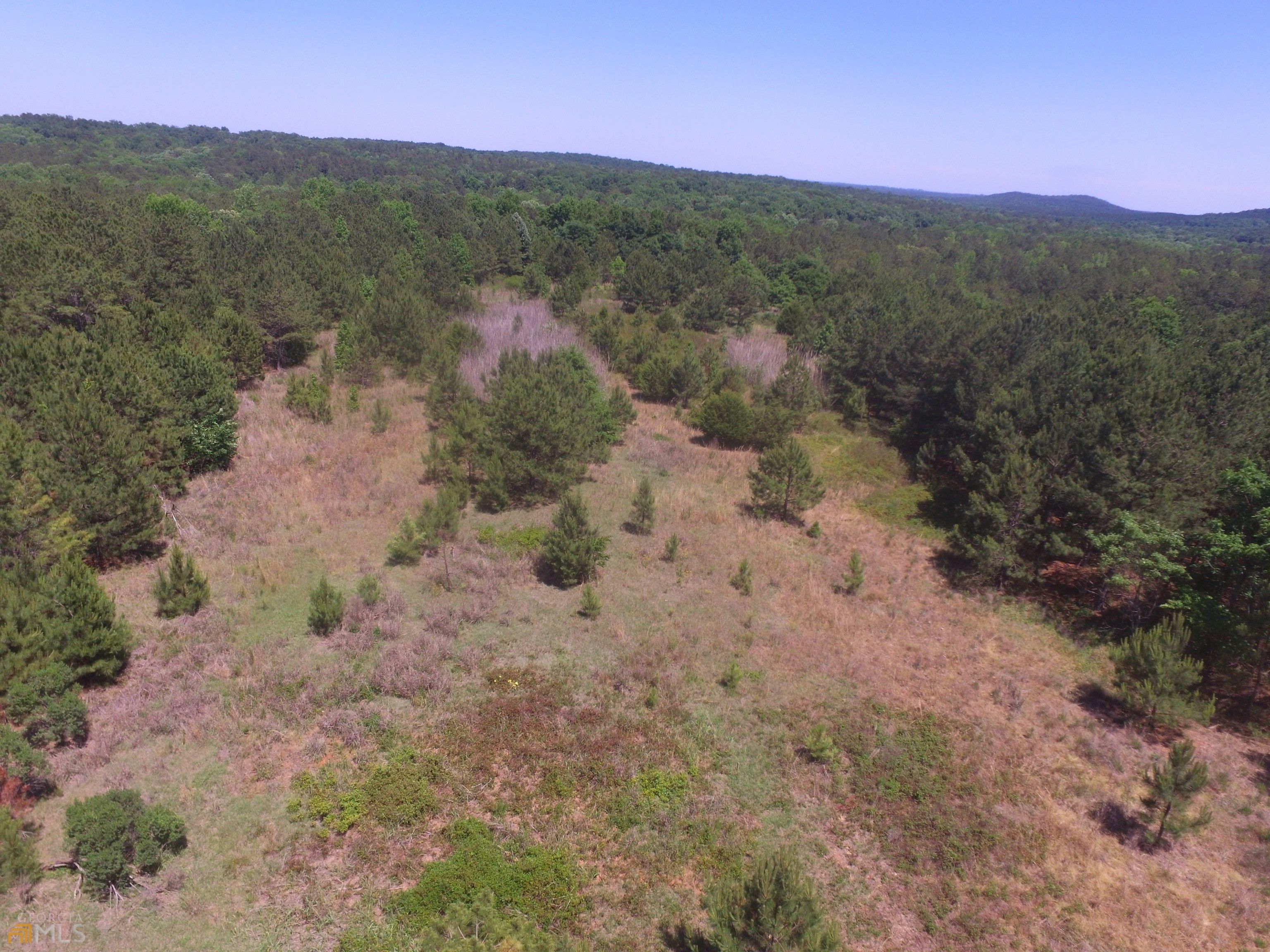 7 acres in Upson County,