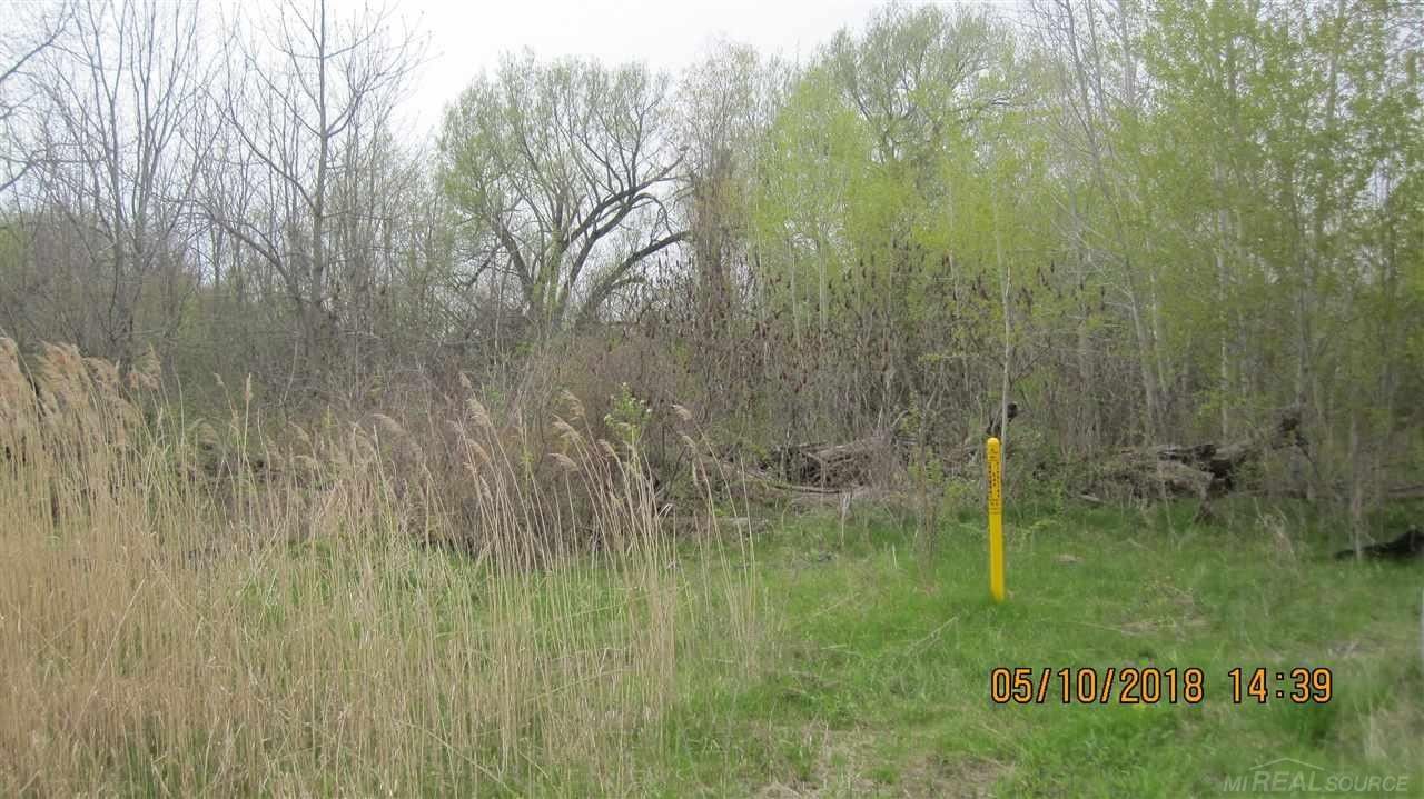 20 acres in Saint Clair County, Michigan