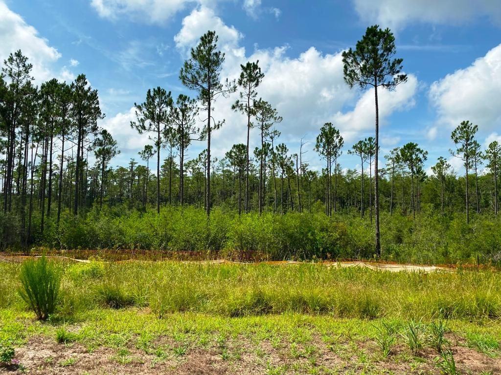 88 acres in Ware County,