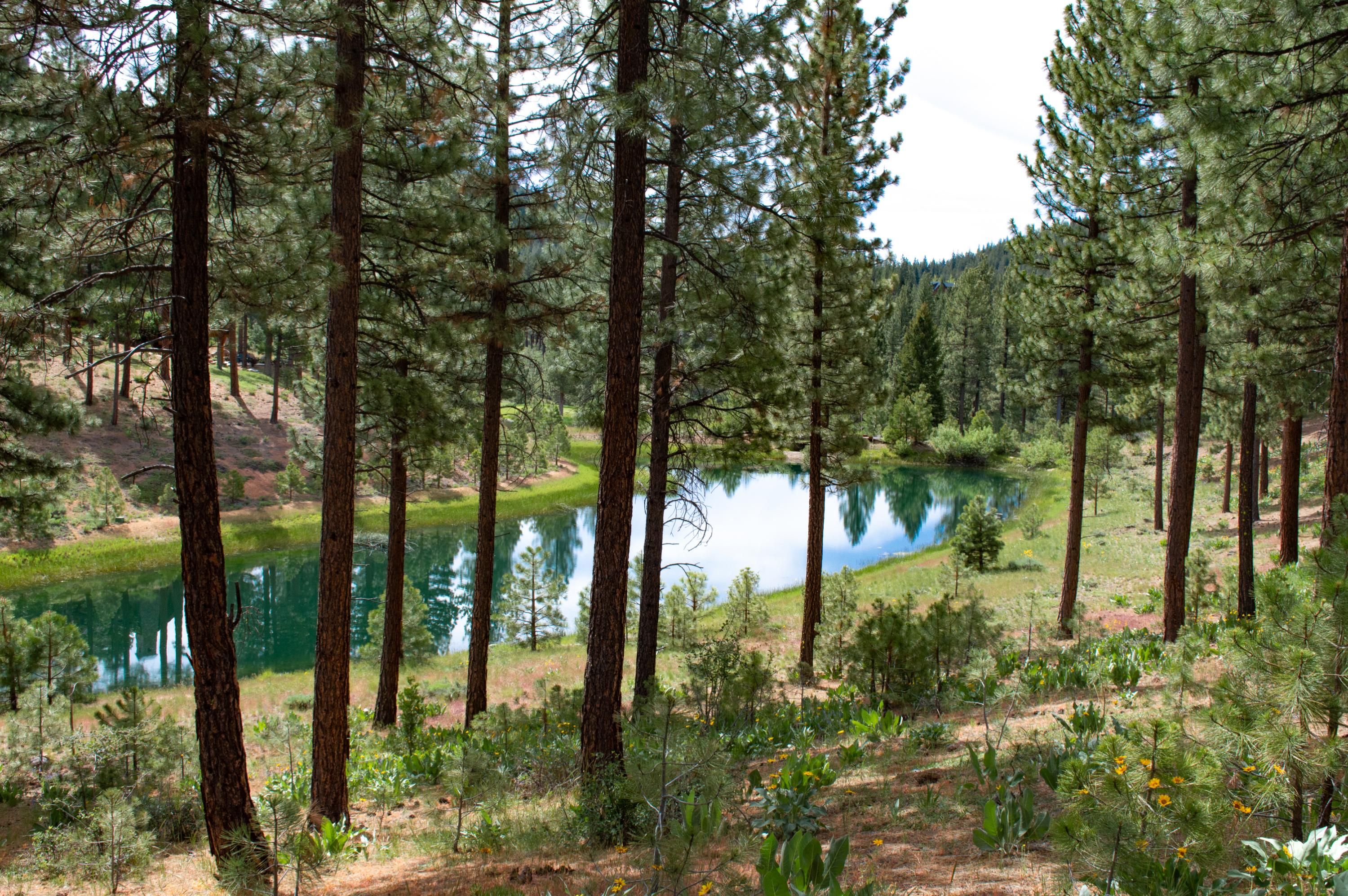 0.44 acres in Plumas County, California