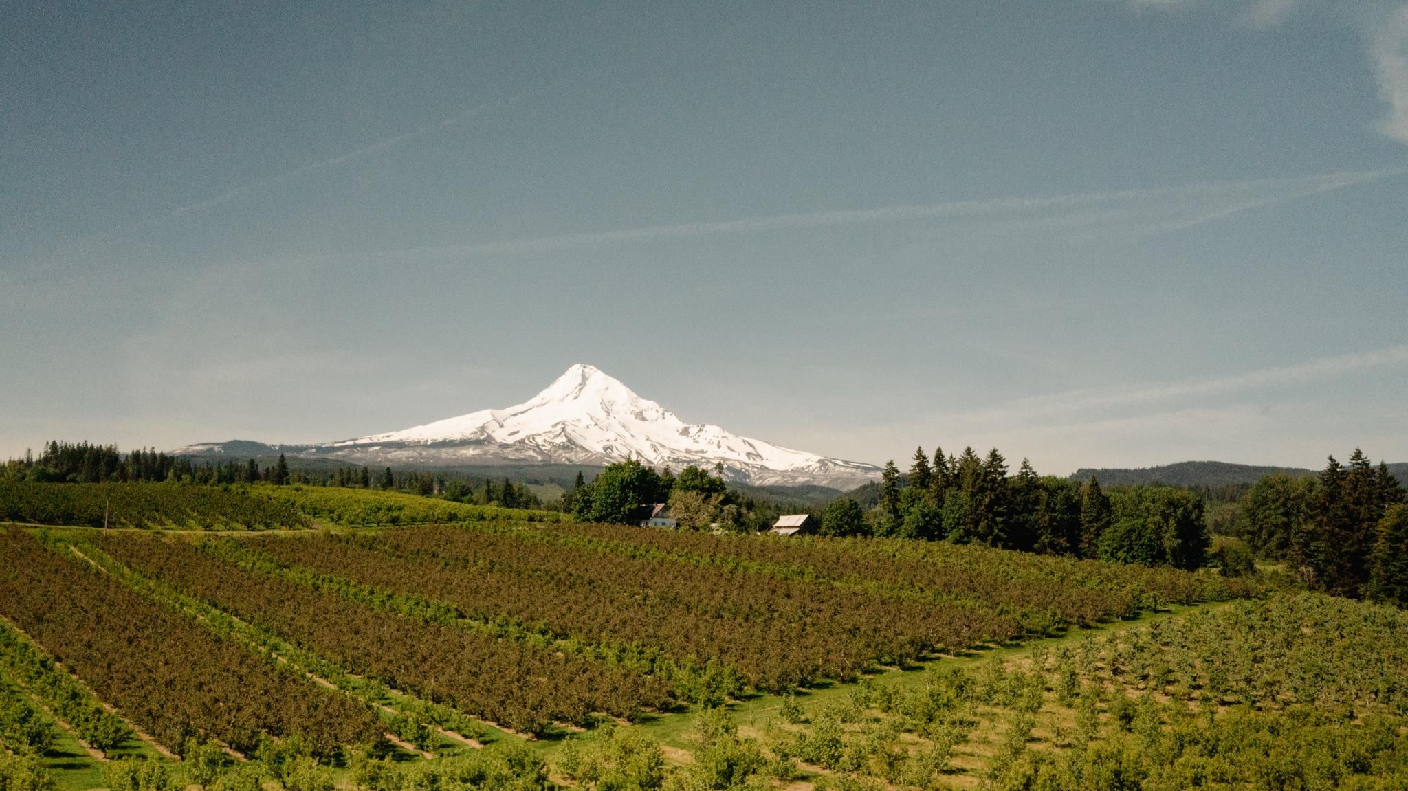 28.7 acres in Hood River County, Oregon