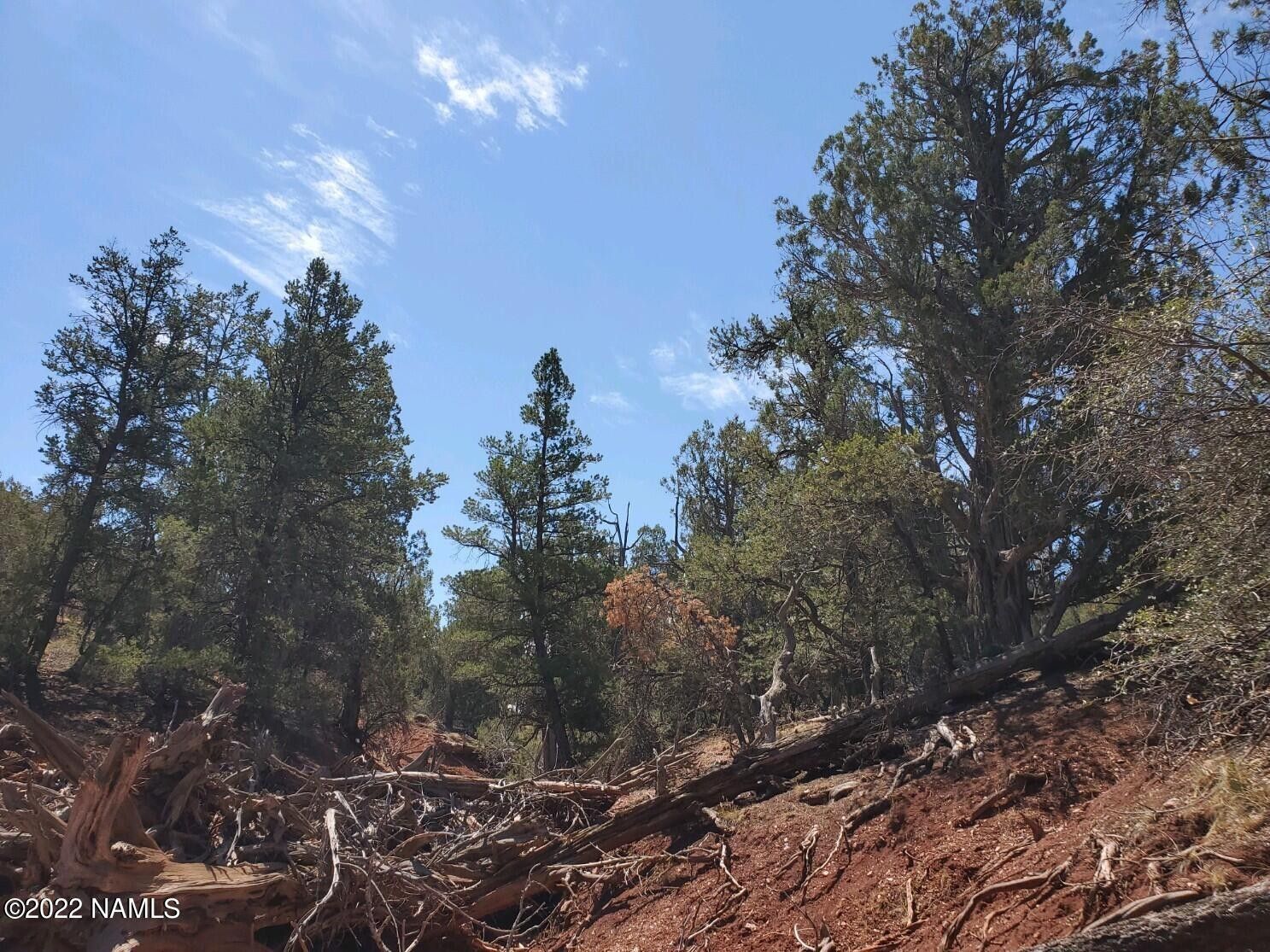 40 acres in Yavapai County, Arizona