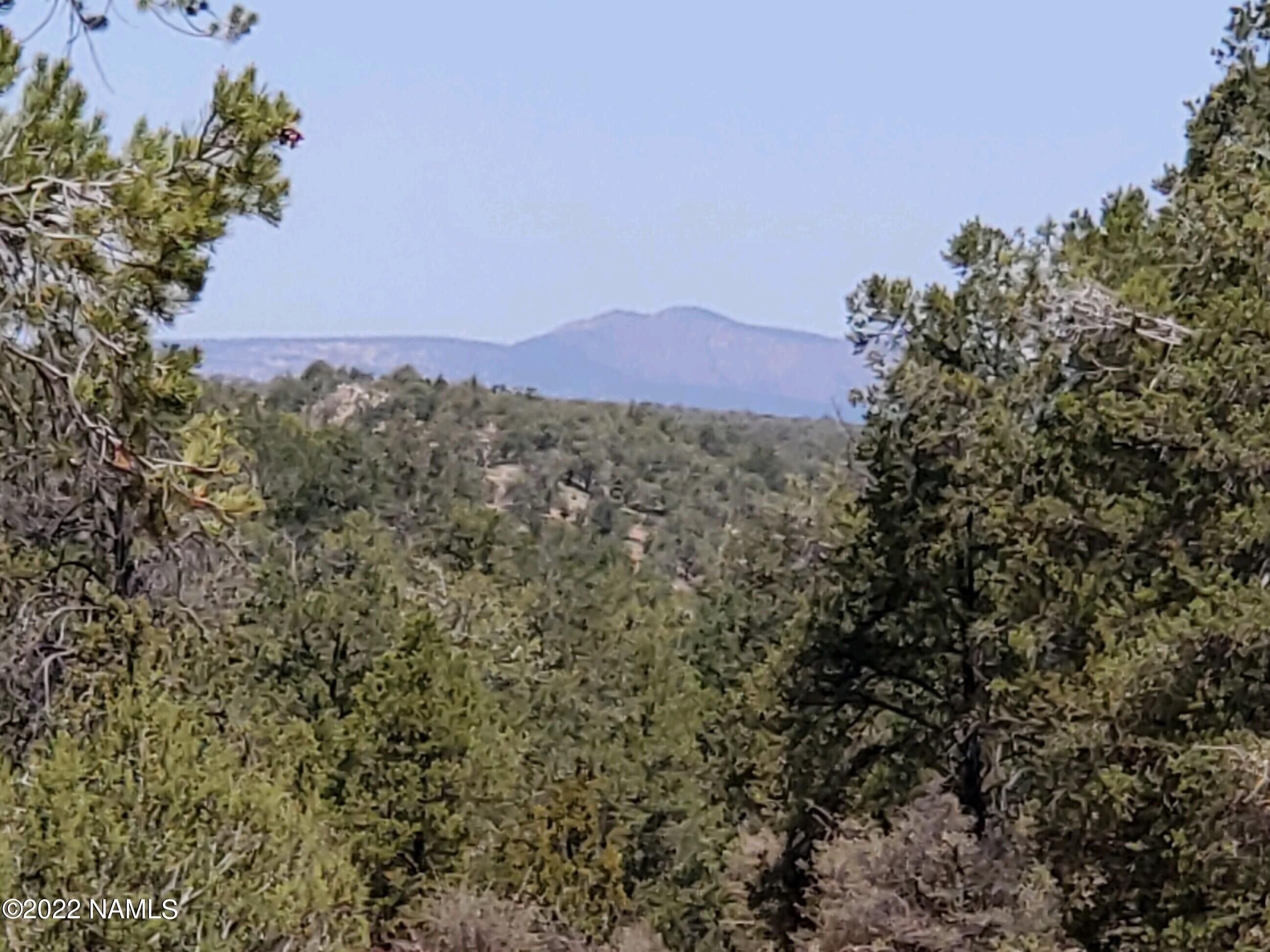 40 acres in Yavapai County, Arizona