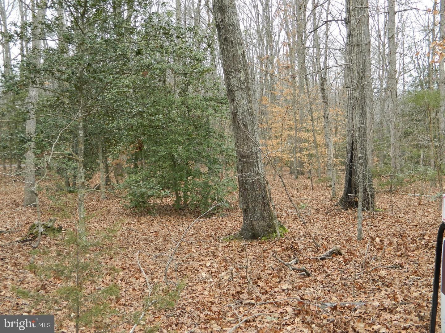 4 acres in Stafford County, Virginia