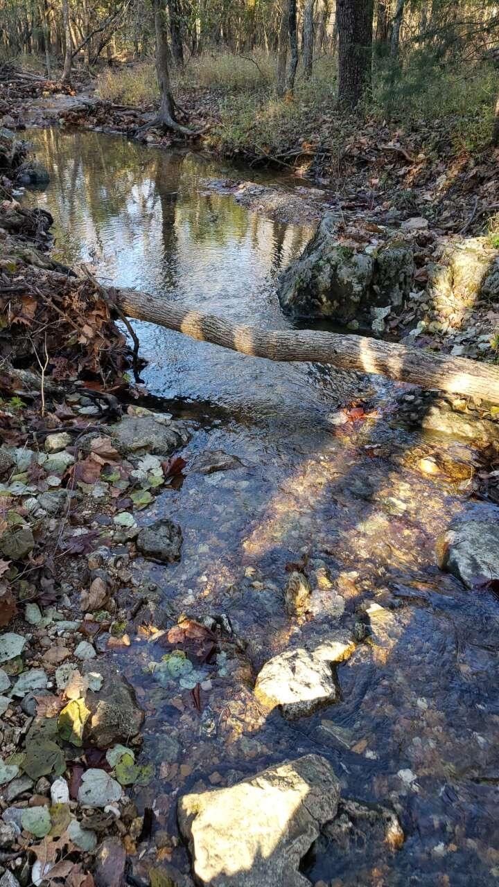 20 acres in Polk County, Missouri