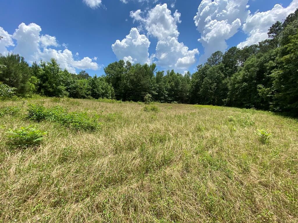 16.71 acres in Crenshaw County, Alabama