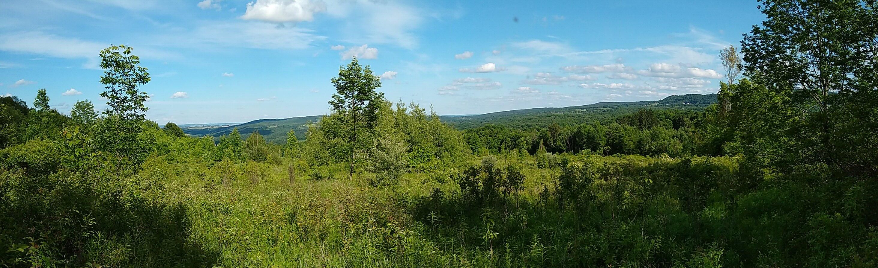 21 acres in Herkimer County, New York