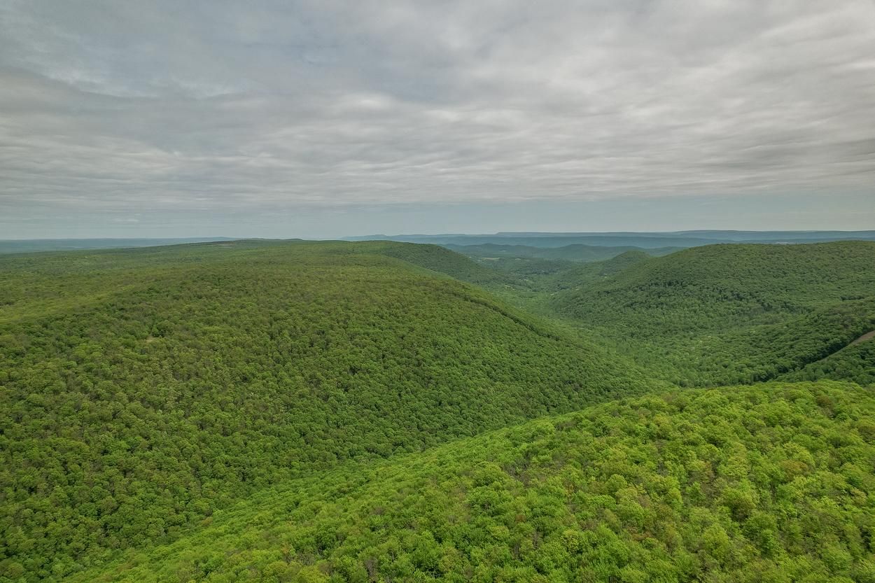 454 acres in Centre County, Pennsylvania