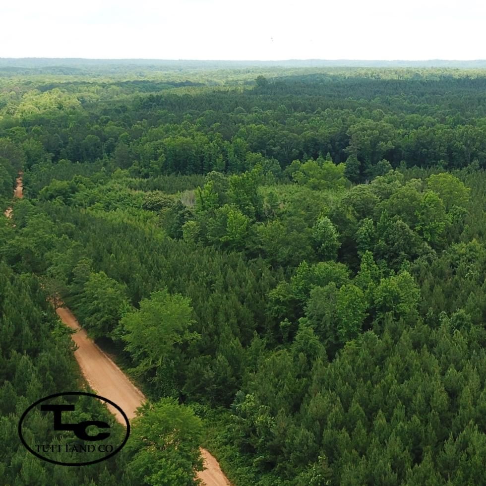 100 acres in Letohatchee, AL, 36047