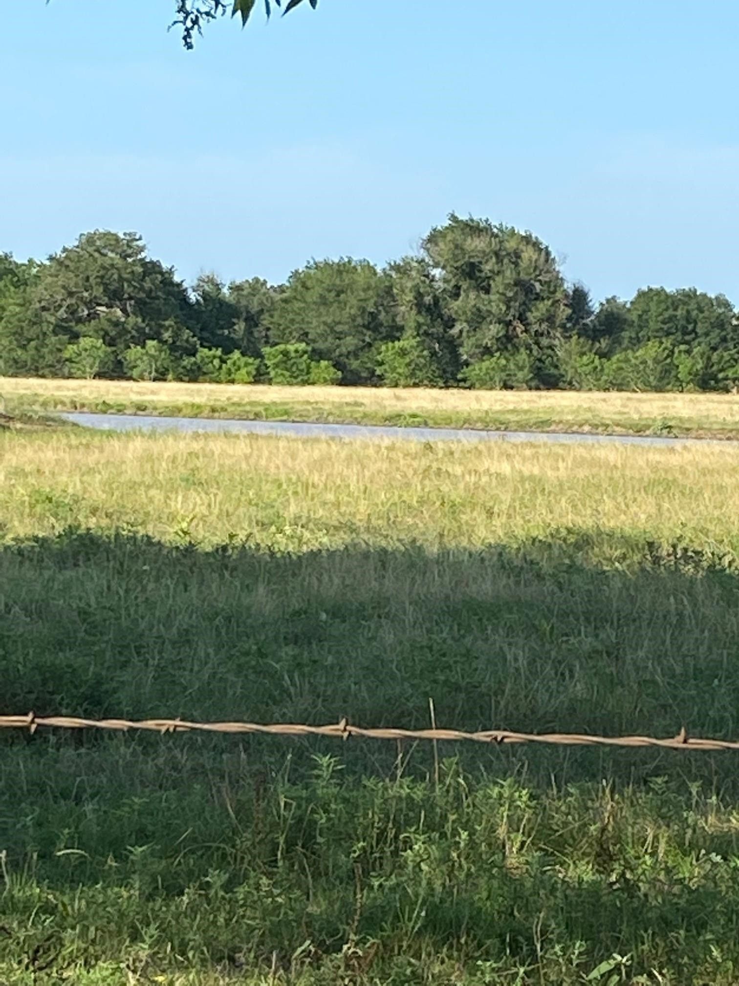 40 acres in Limestone County, Texas