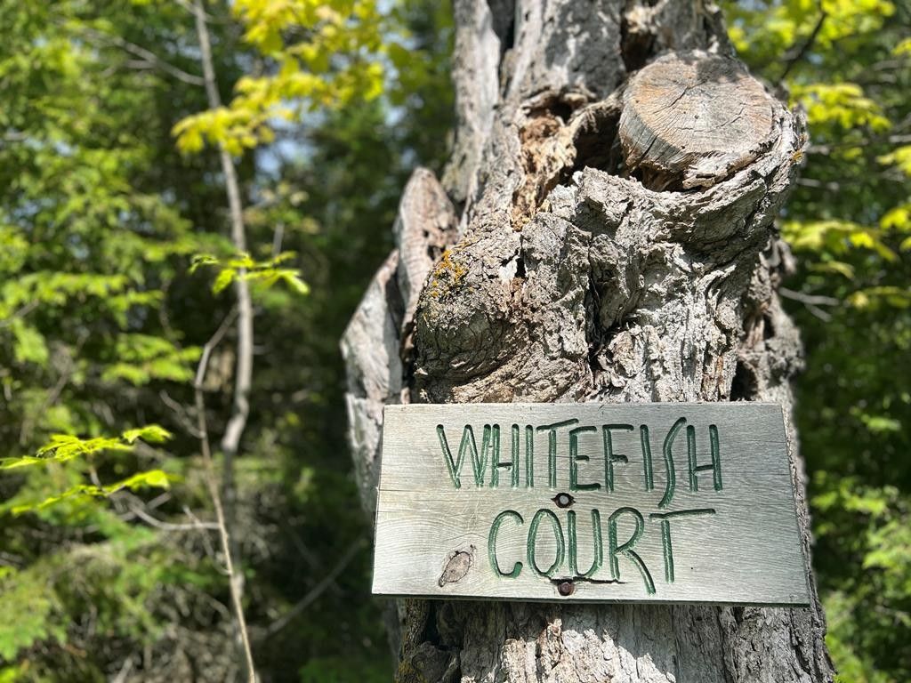 5 acres in Door County, Wisconsin