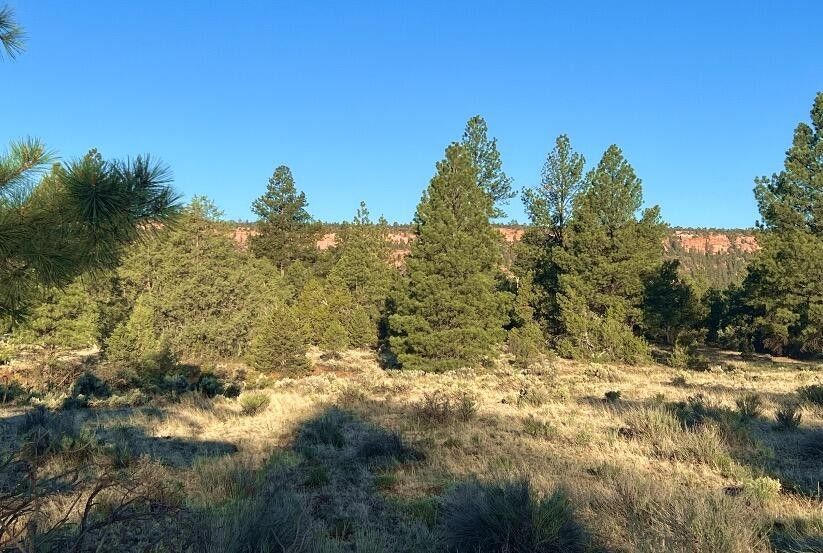 8.2 acres in McKinley County, New Mexico