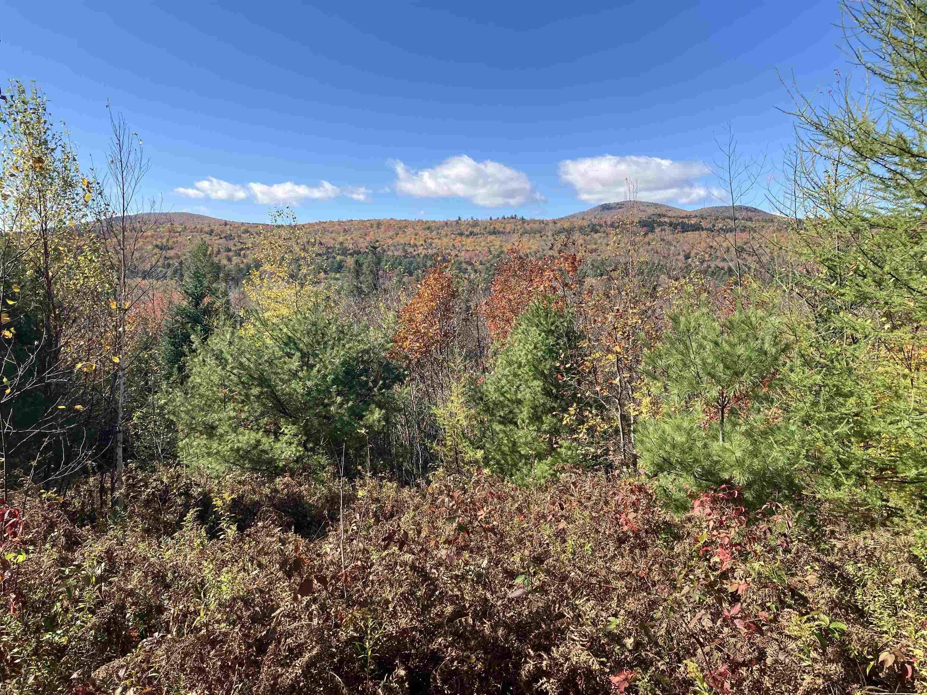 17.5 acres in Windsor County, Vermont