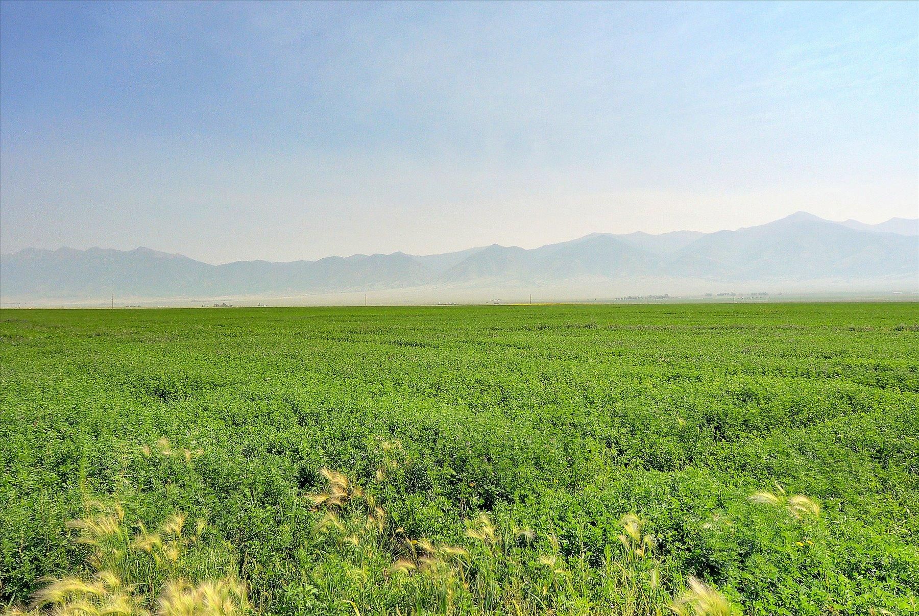 480 acres in Saguache County, Colorado