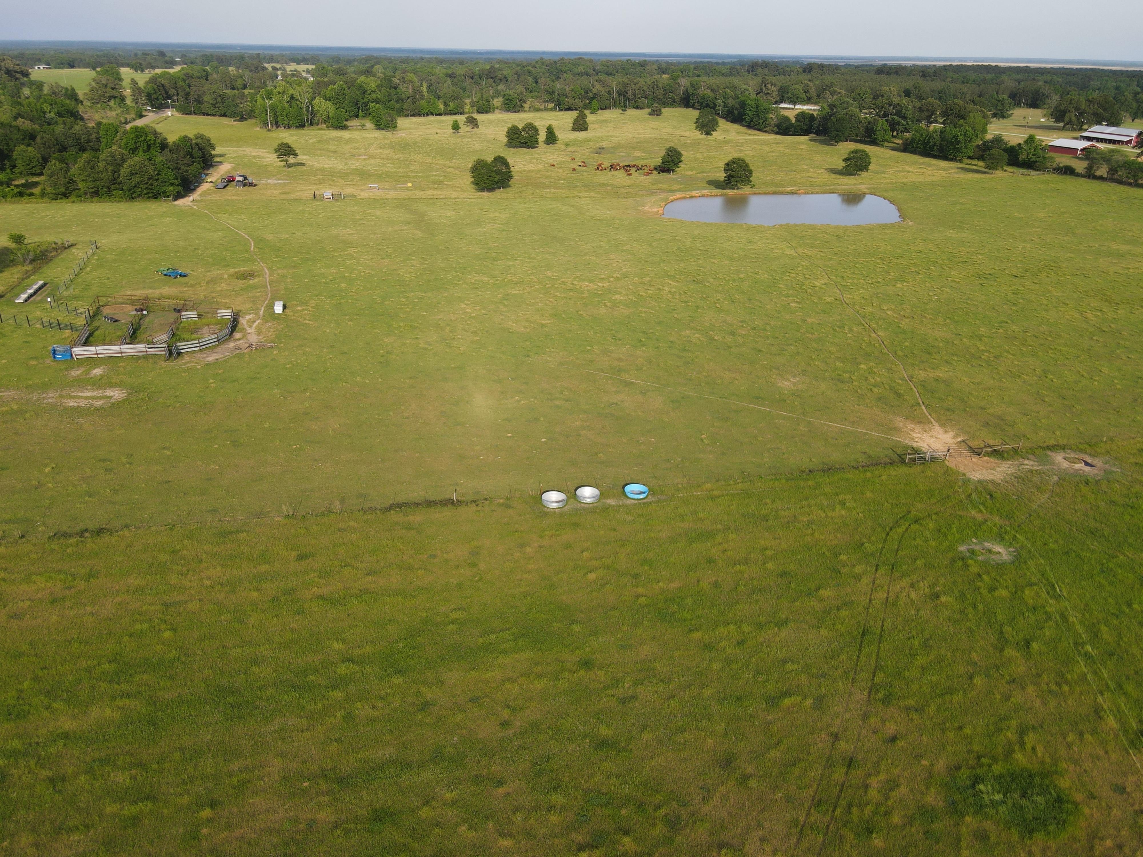 77 acres in Miller County, Arkansas