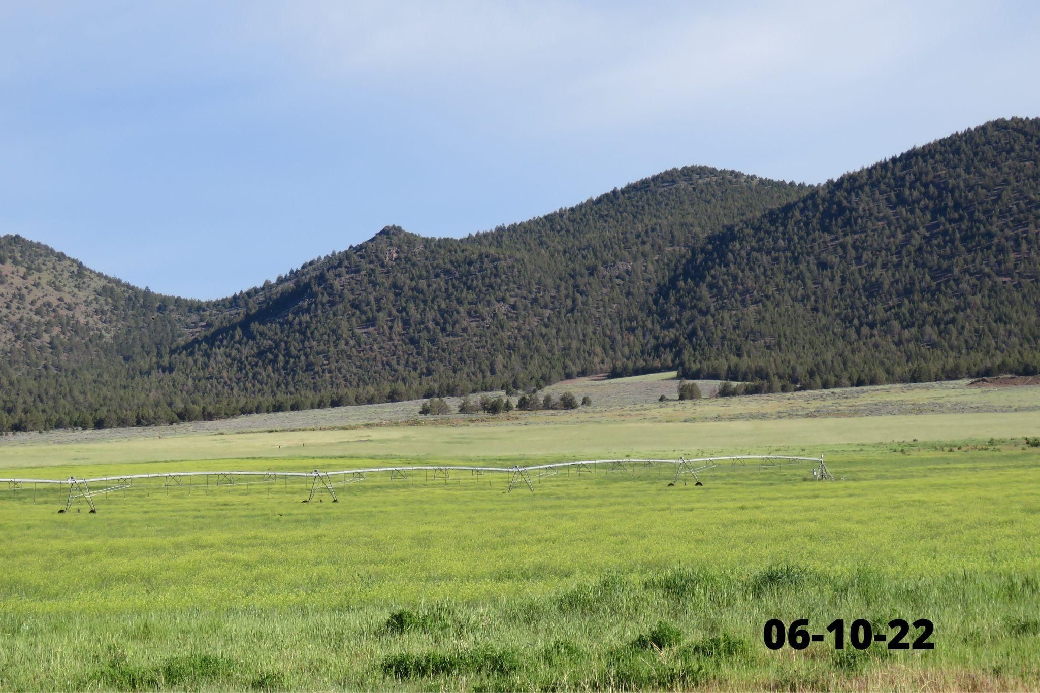 925 acres in Siskiyou County, California