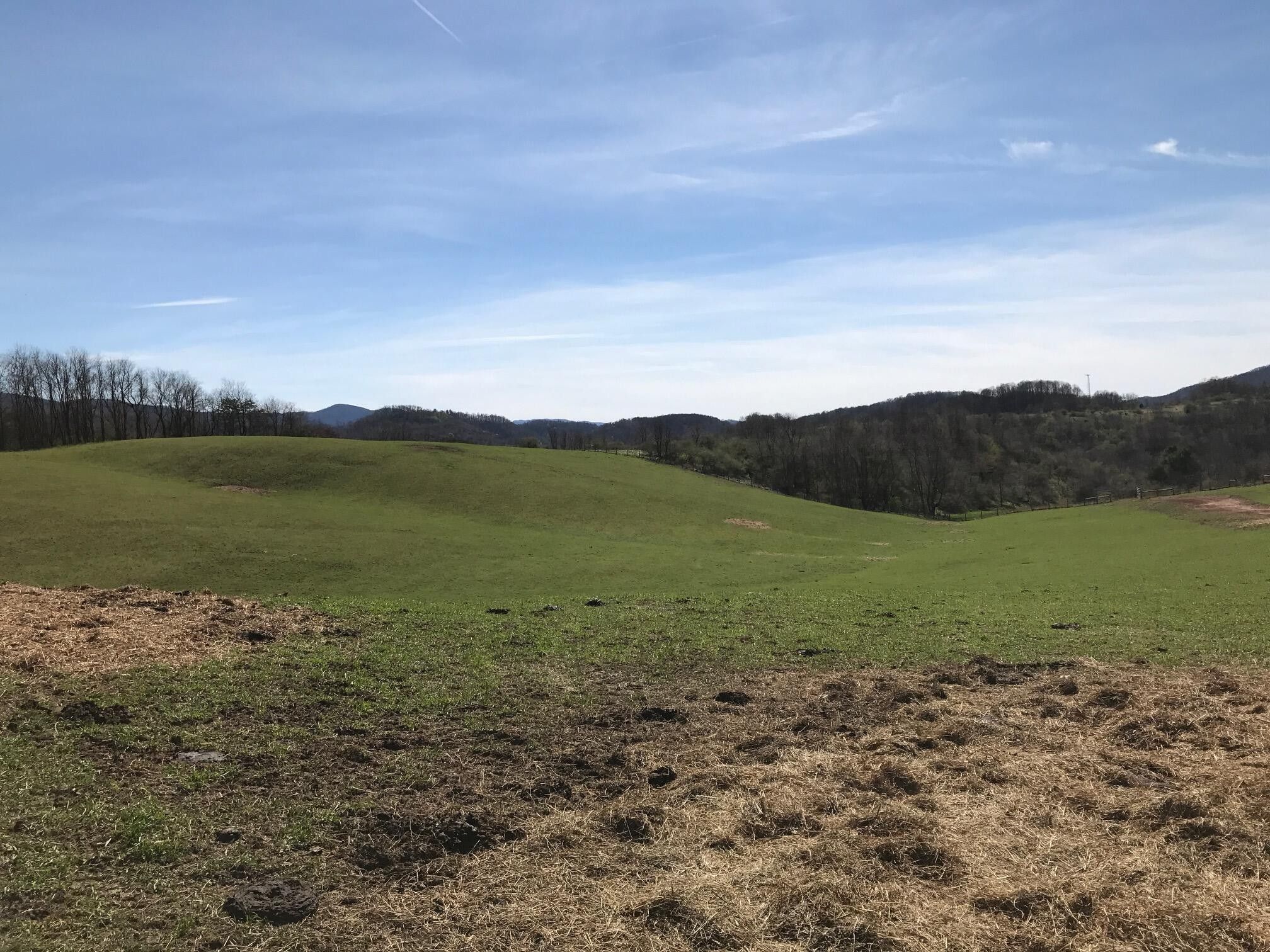 78 acres in Smyth County, Virginia