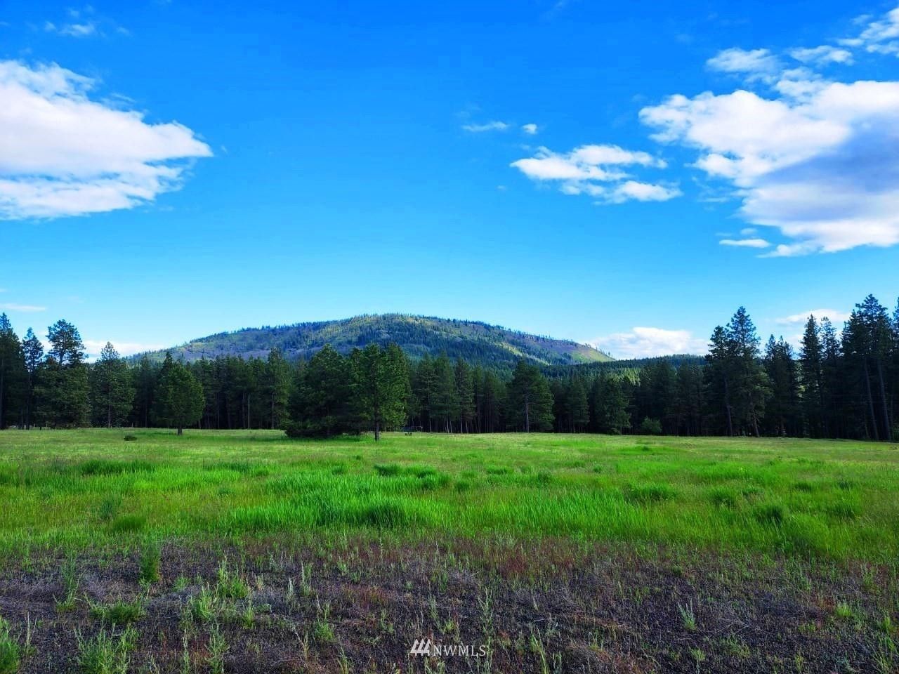 3.01 acres in Kittitas County, Washington