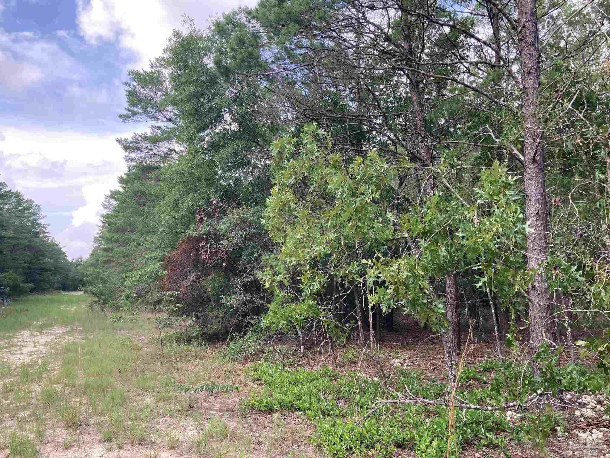 10.1 acres in Walton County, Florida