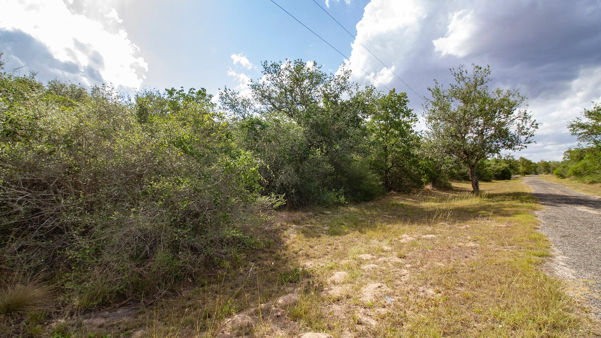 24.96 acres in Goliad County, Texas