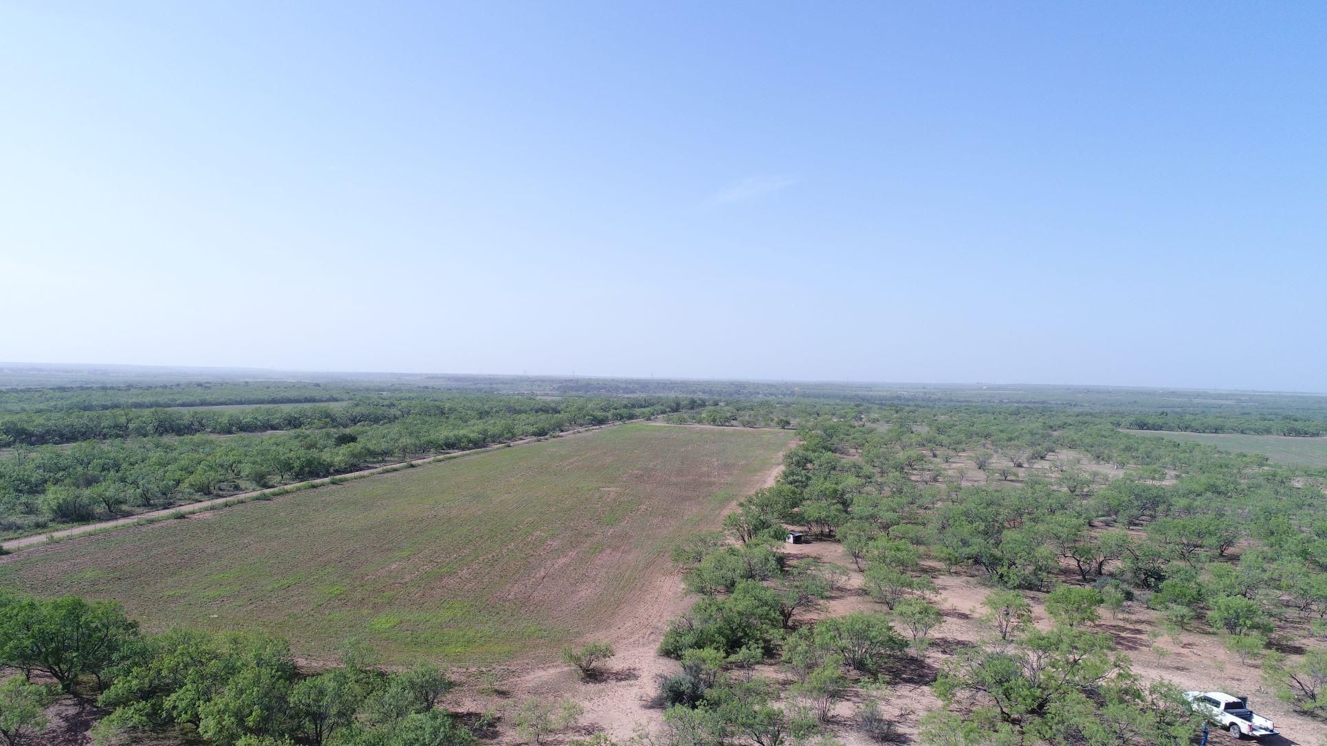 158.32 acres in Coleman County, Texas