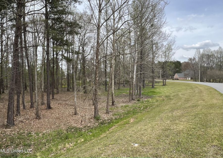 3 acres in Rankin County, Mississippi